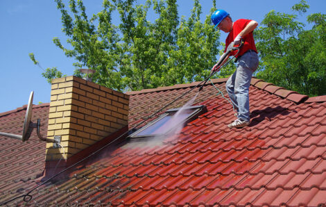 Nettoyage toiture Dollon 72390