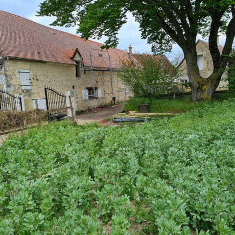 renovation maison 61