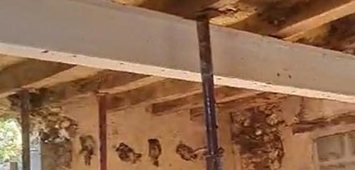 Pose ipn Maisoncelles 72440