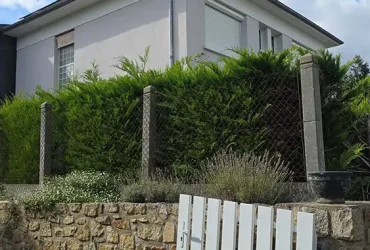 nettoyage toiture dollon 72 3